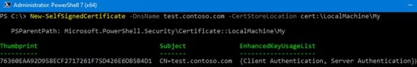 New-SelfSignedCertificate powershell cmdlet on windows