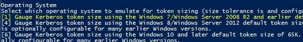 powershell script CheckMaxTokenSize.ps1