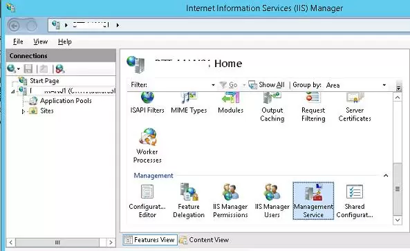 iis section: managment service