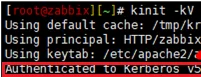 kinit check kerberos authentication