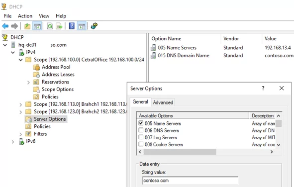 Server Options in DHCP console on Windows Server 2019
